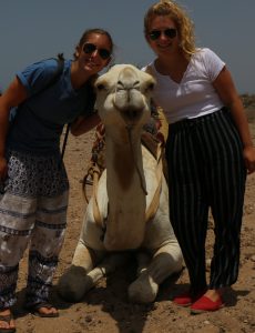The author’s twin daughters posing with Sultan, the lead camel for our day-long trek across the Saharan sands, which began near the coastal town of Essaouria. Riding a camel is not like a horse: One leg hangs down while the other is bent-knee with the ankle resting in front of the “handle bar”. Sultan is 15 years old and one of only two camels trained by his guide, Mustafa, using only hand signals (no reins). For the record…camels do not spit and are most closely related to llamas not horses.